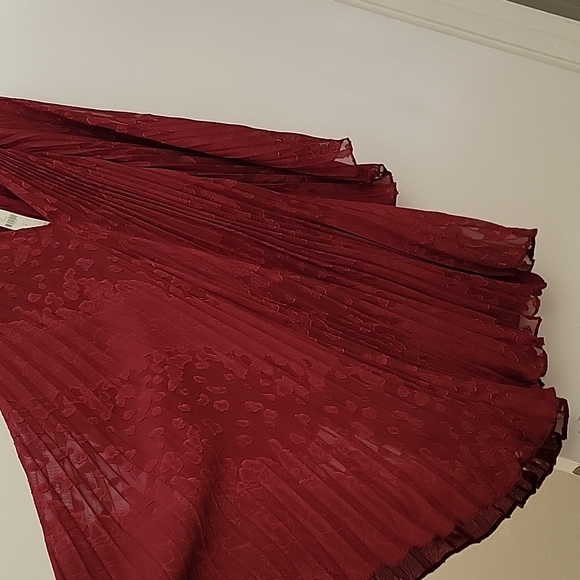 Pleated Anthropologie Dress - Picture 5 of 8